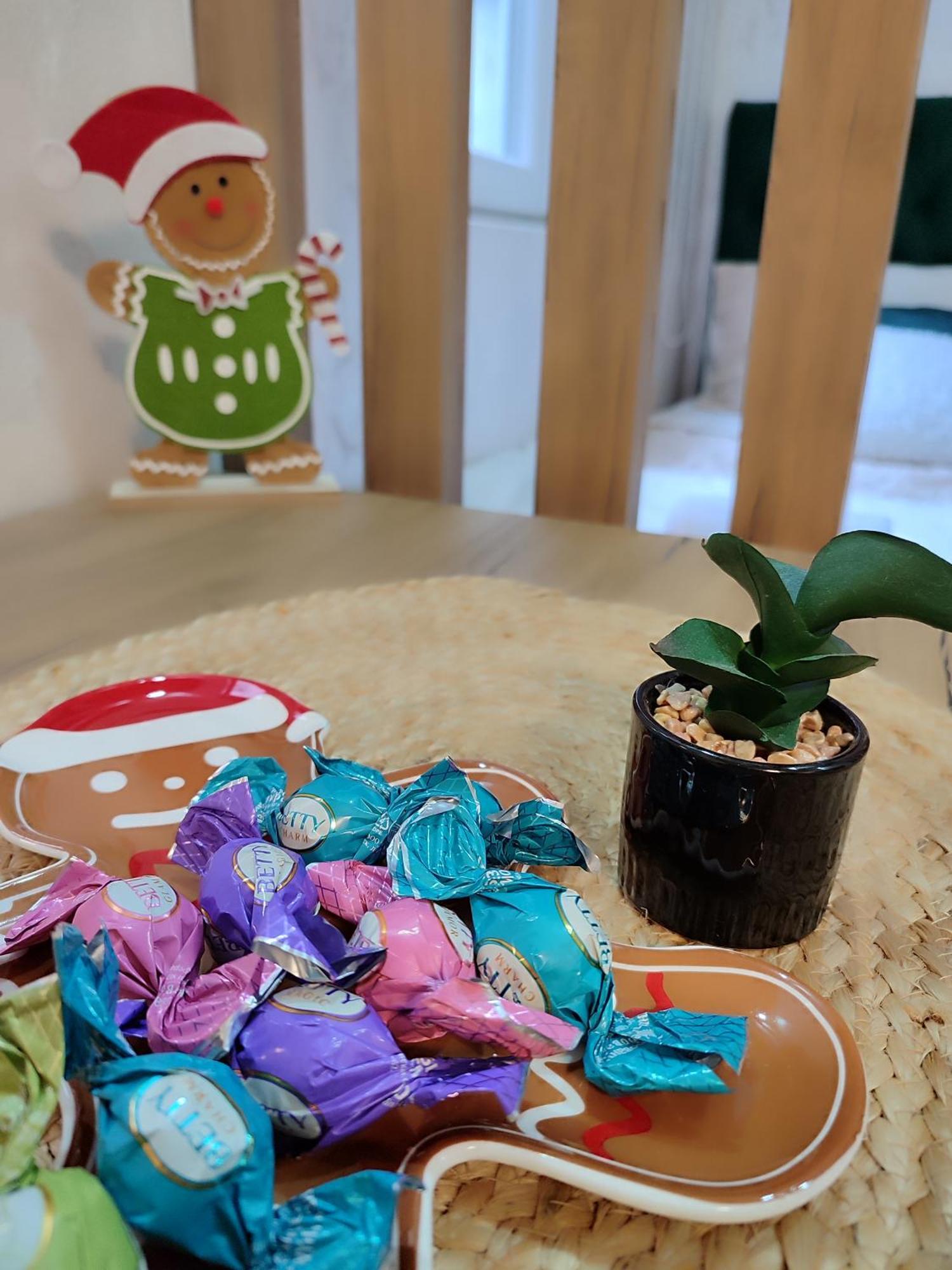 Studio Apartman Free Parking Rubikon 贝尔格莱德 客房 照片